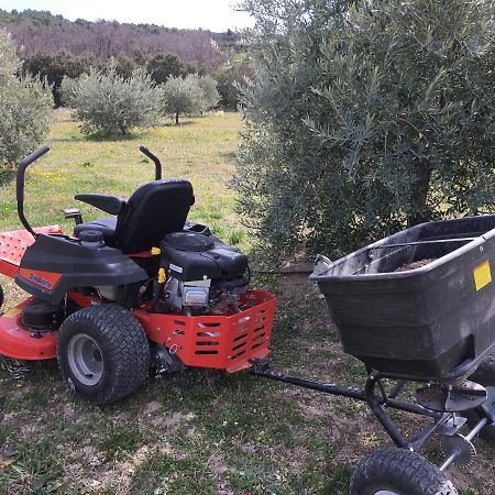 Ferme Oleicole Les Callis Gordes Zewnętrze zdjęcie