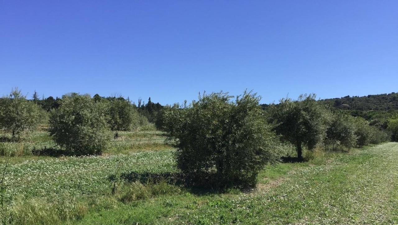 Ferme Oleicole Les Callis Gordes Zewnętrze zdjęcie